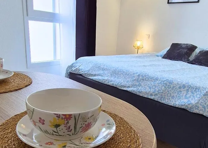 Daire L'escale - Double Matelas - Clim - Wifi Lourdes